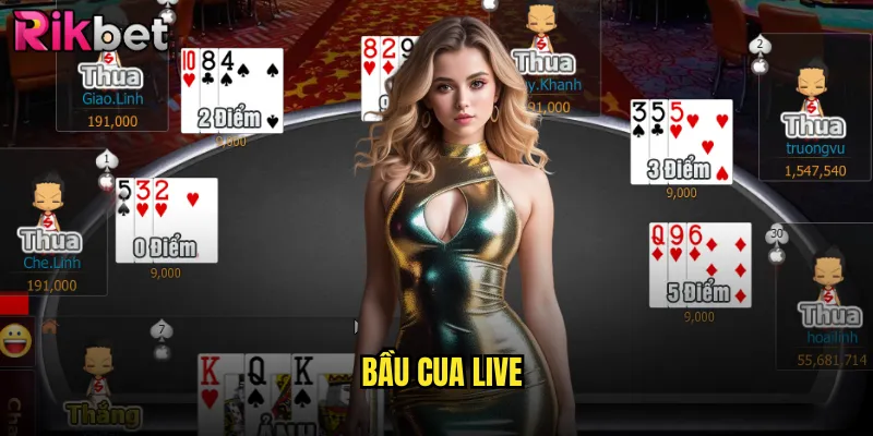 bầu cua live