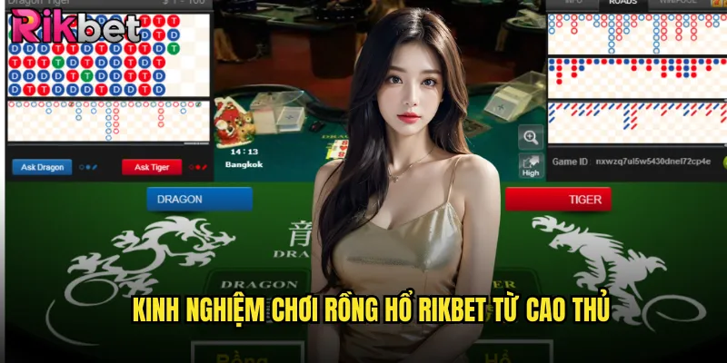 Kinh nghiệm chơi rồng hổ rikbet từ cao thủ